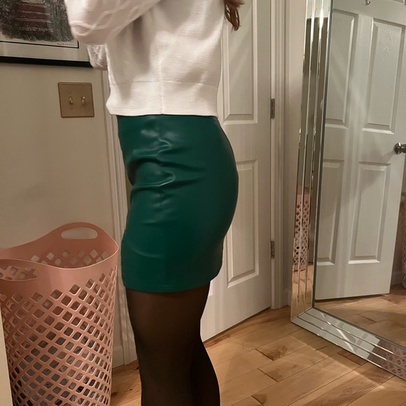 Windsor Skirt Size medium.. perfect for the holiday season - Picture 5 of 11